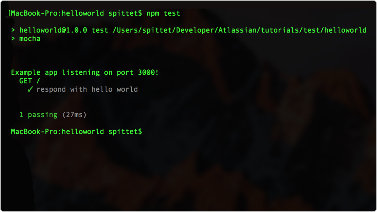 npm test, ejecución correcta