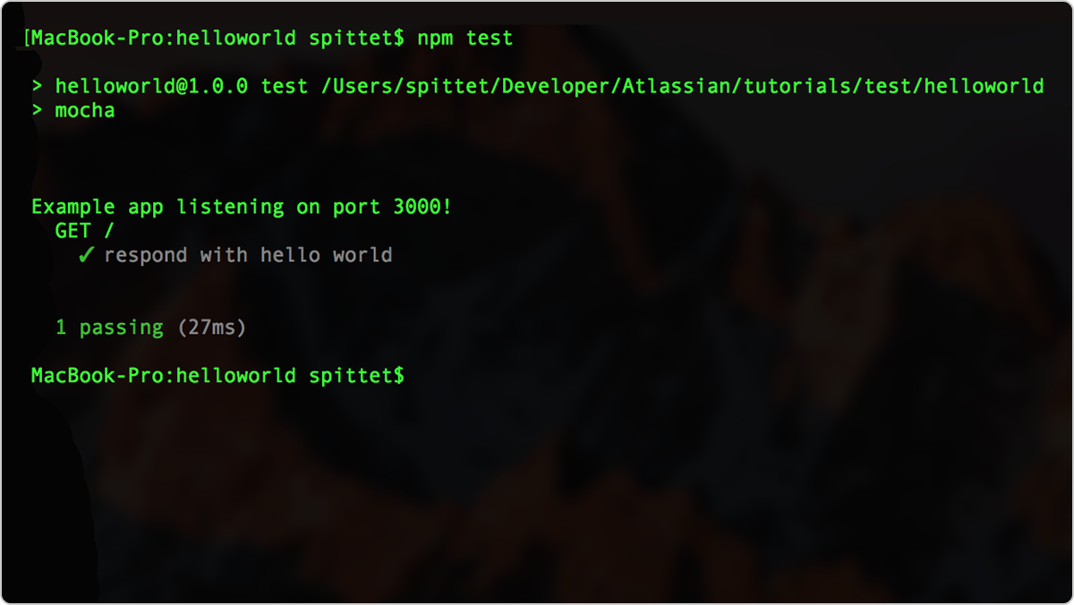 NPM test, success