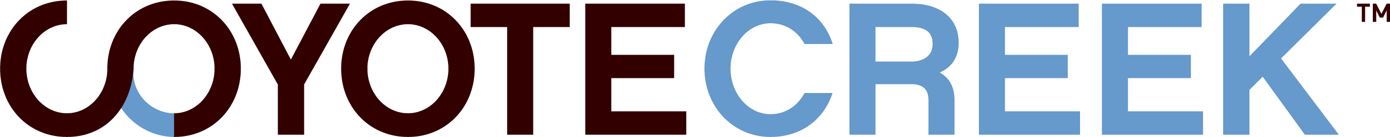 Логотип Clearvision