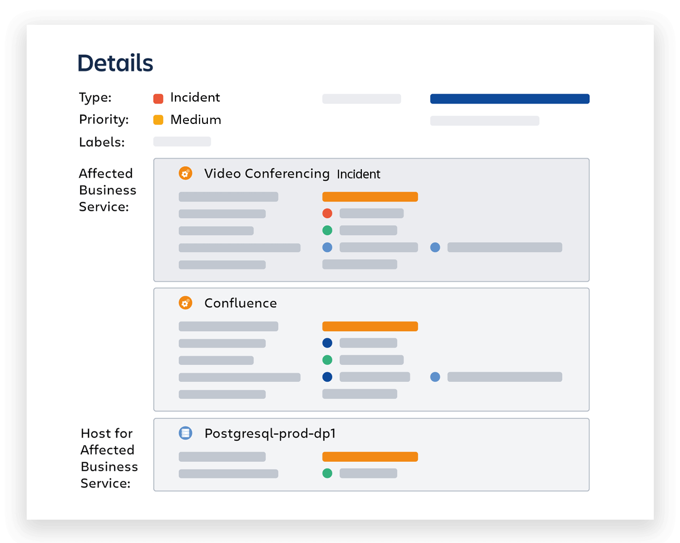 Highlighted details in an issue