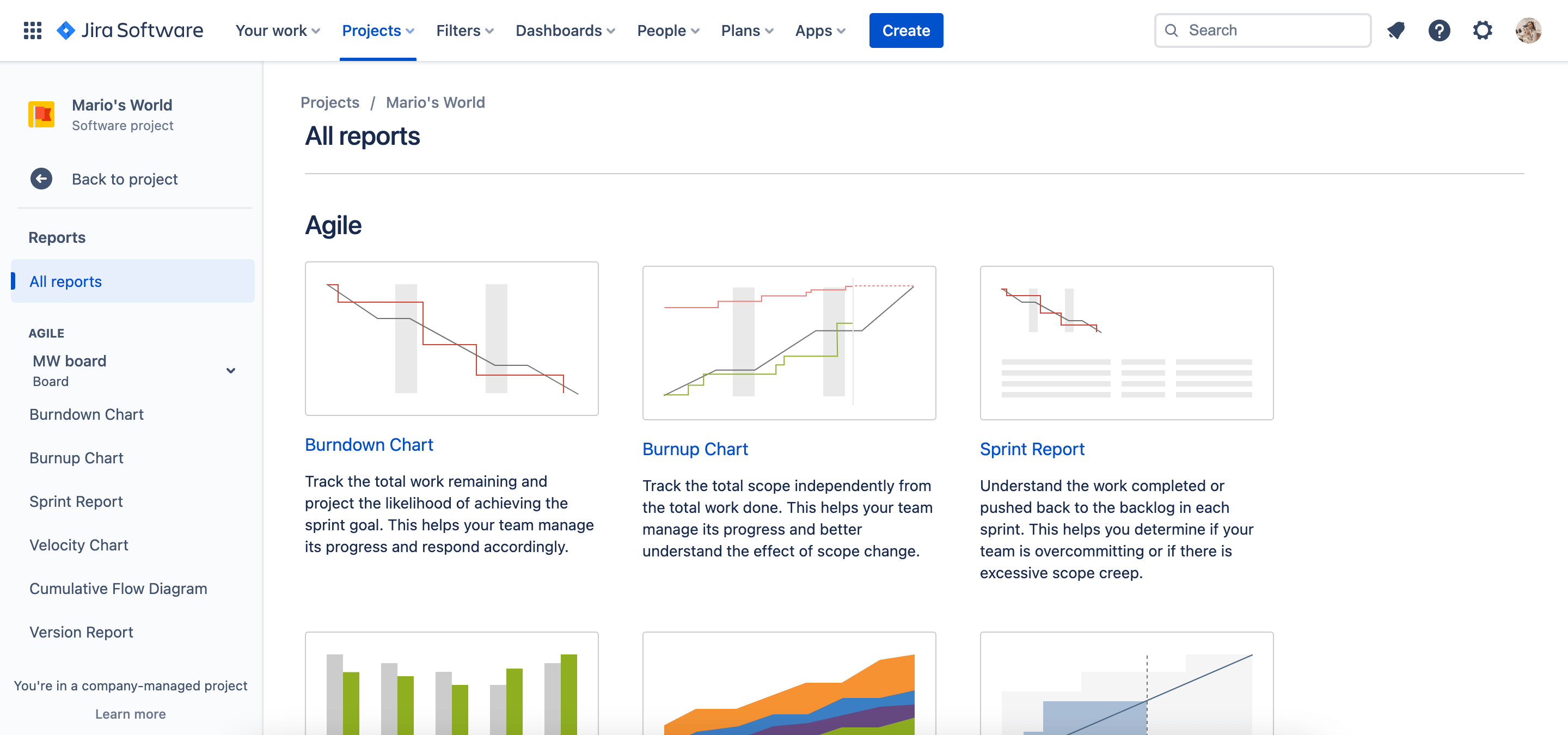 JIRA-rapporten