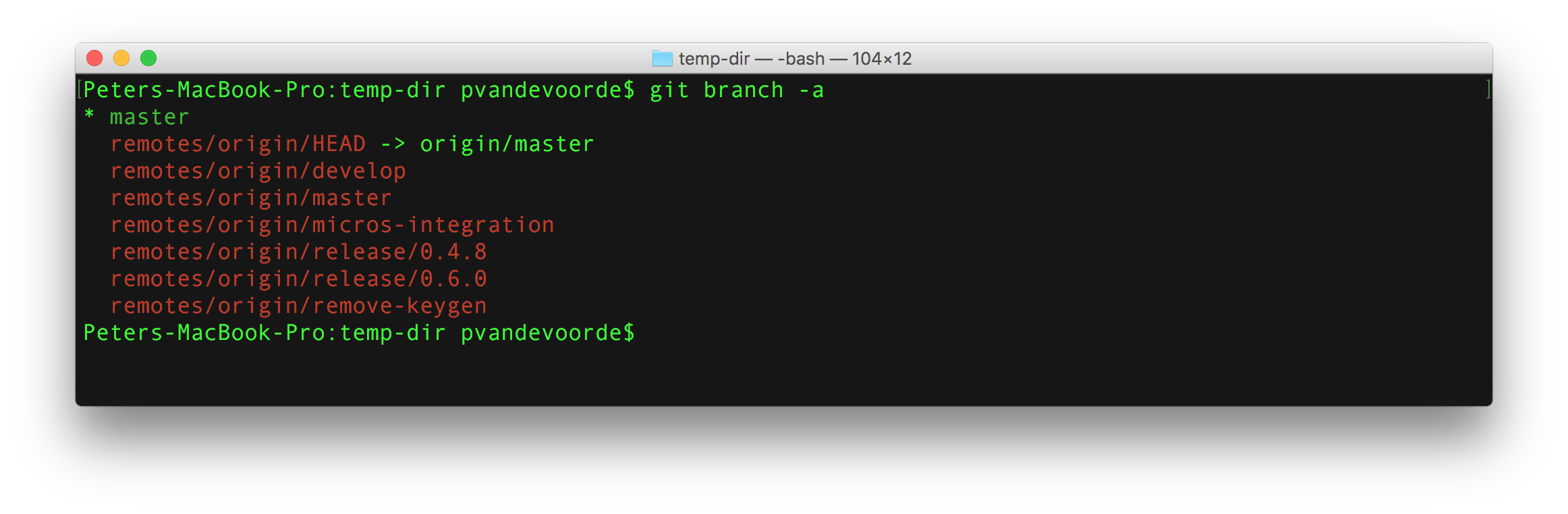 git clone branch from remote to directory