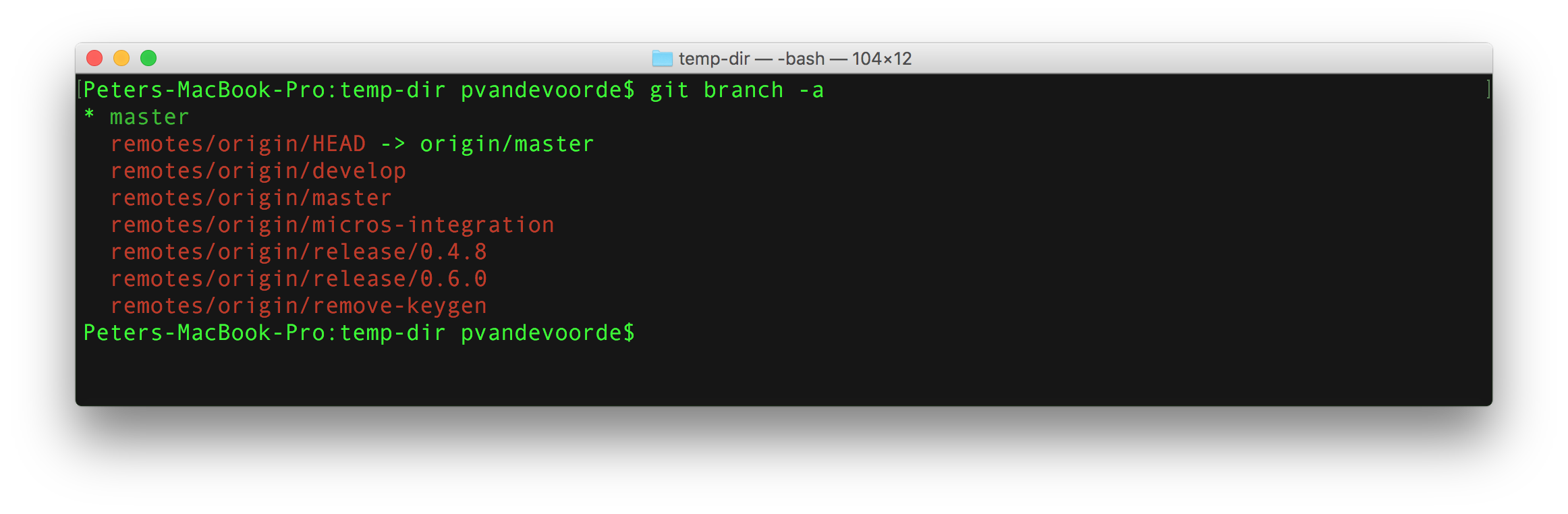 git branch -a