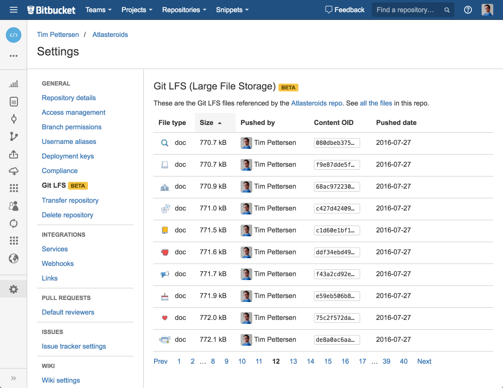 Bitbucket Cloud: eliminar lfs del servidor