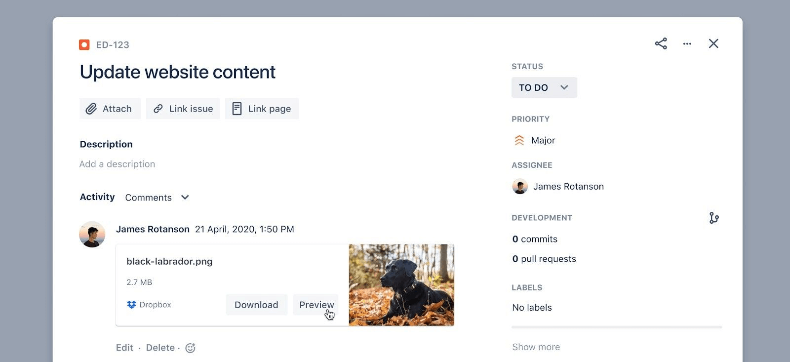 来自 Jira 工作单的 Dropbox 预览