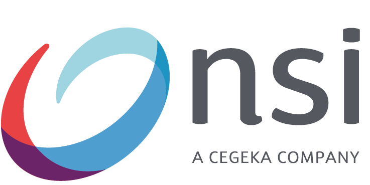 NSI 徽标