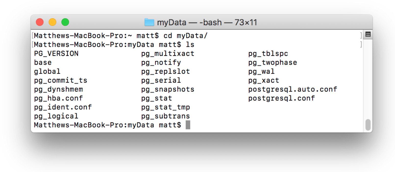 shows contents of the data directory after running initdb successfully