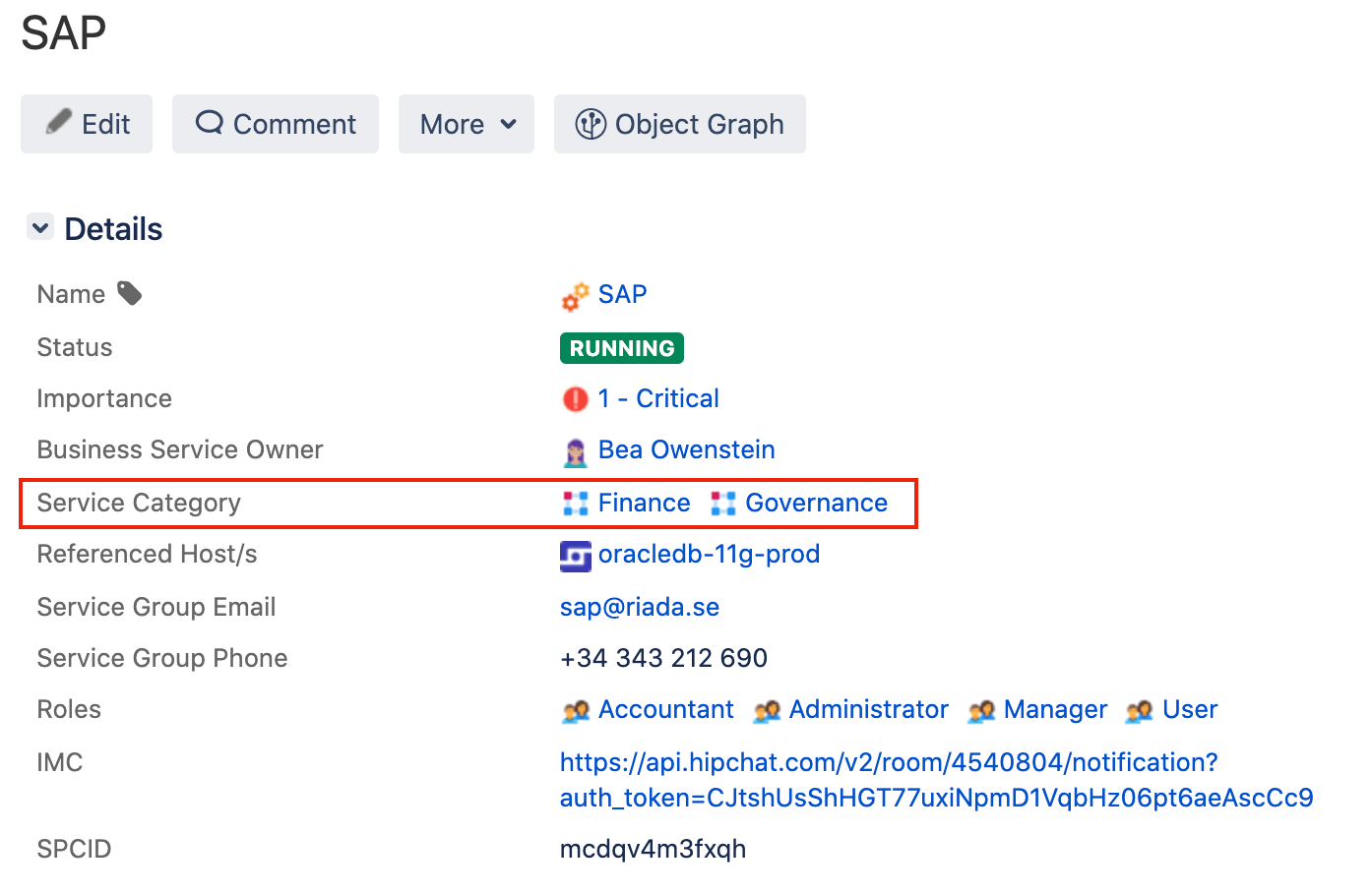 Vista dell'oggetto applicazione aziendale SAP dove sono evidenziate le "Categorie di servizi" taggate di "Finanza" e "Governance", che sono i relativi tipi di oggetto.