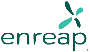 Логотип enreap