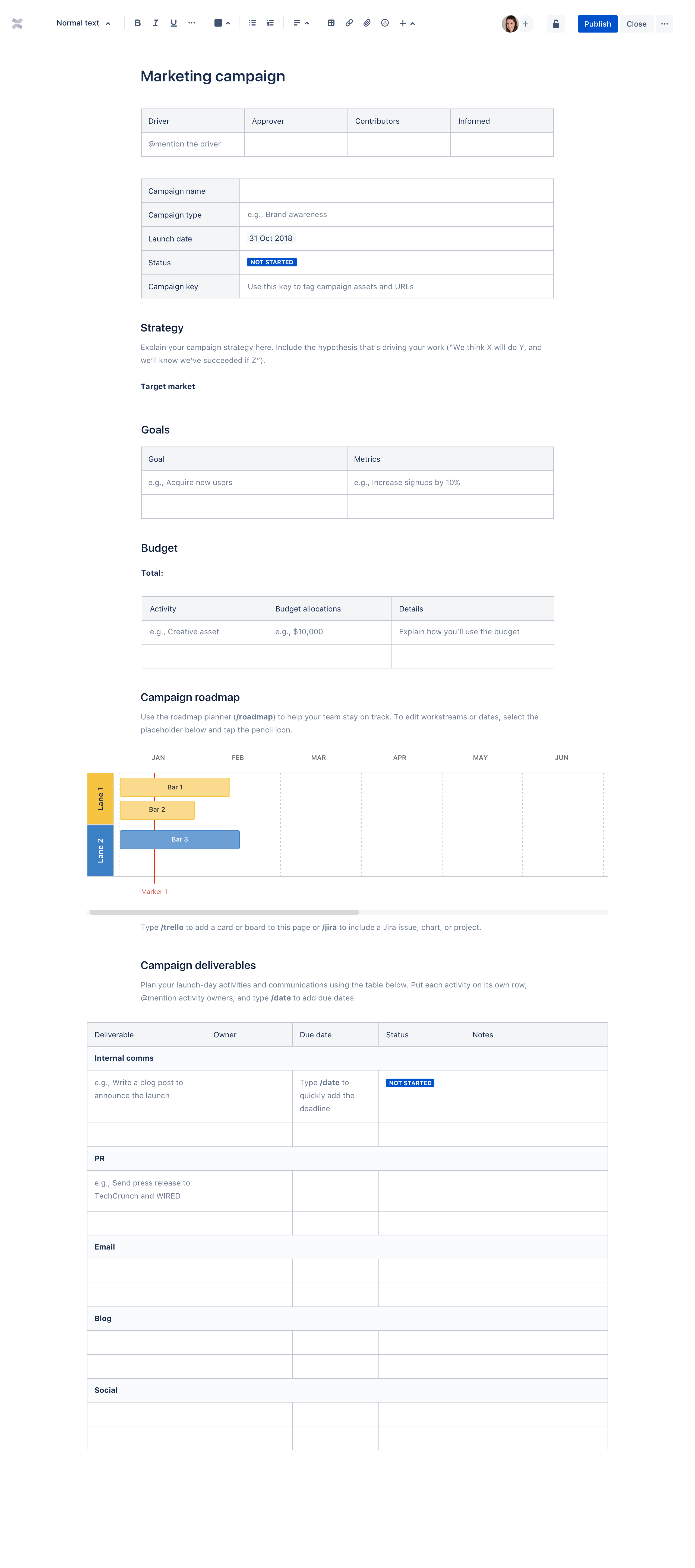 Marketing Campaign template