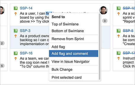Right click to add flag and comment to flagged issues