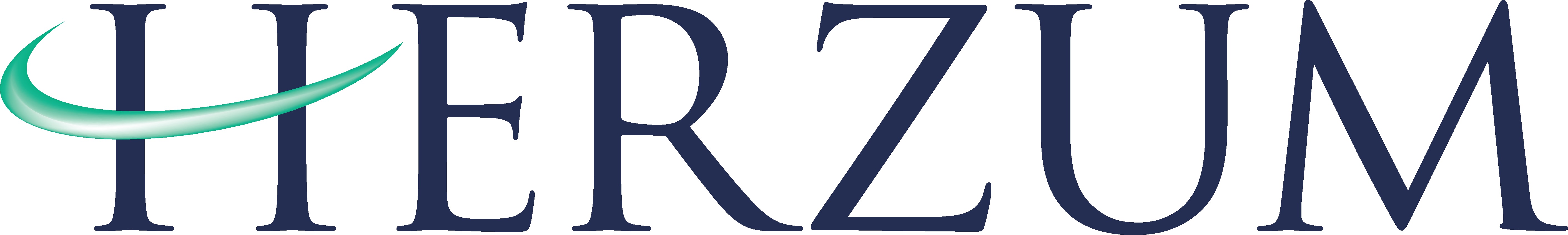 Logotipo de Herzum