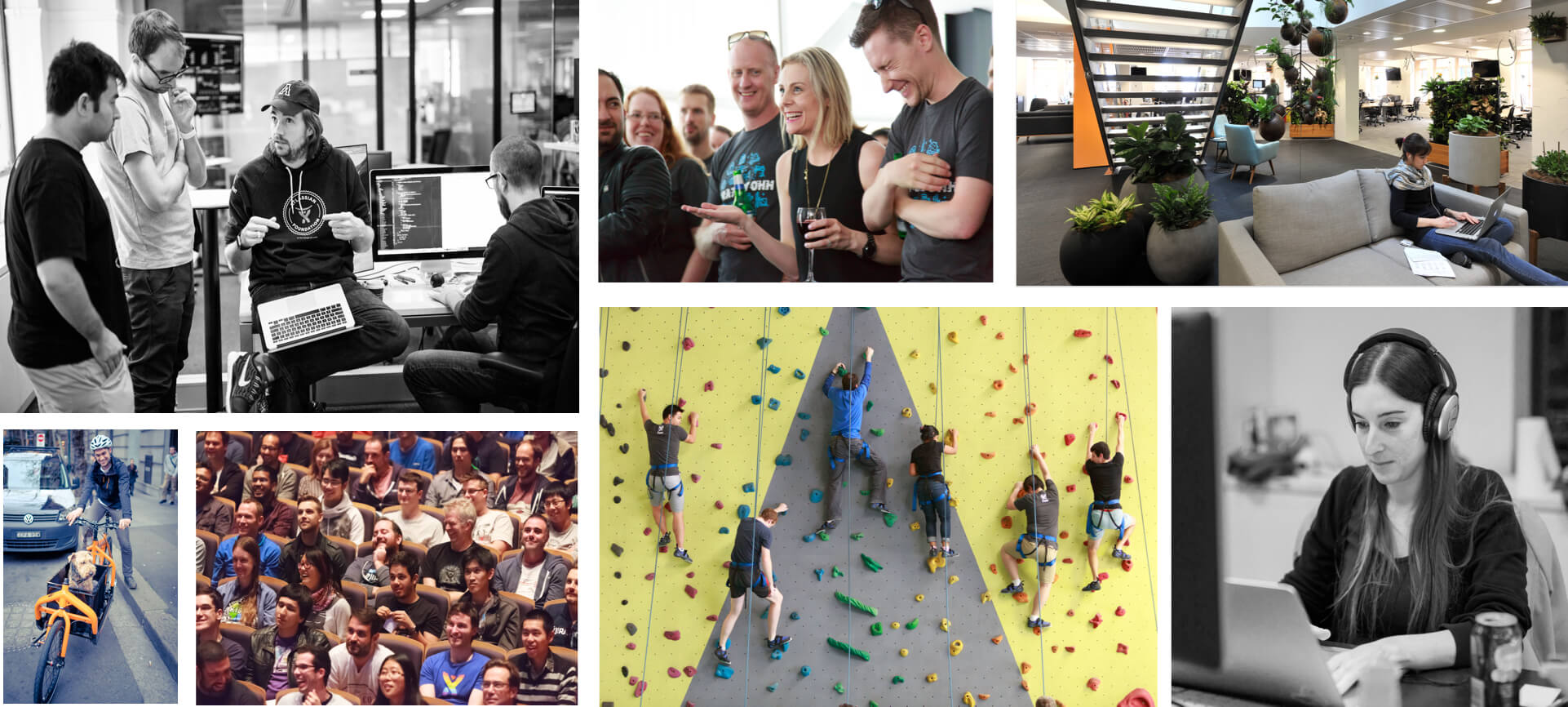 Il nostro team