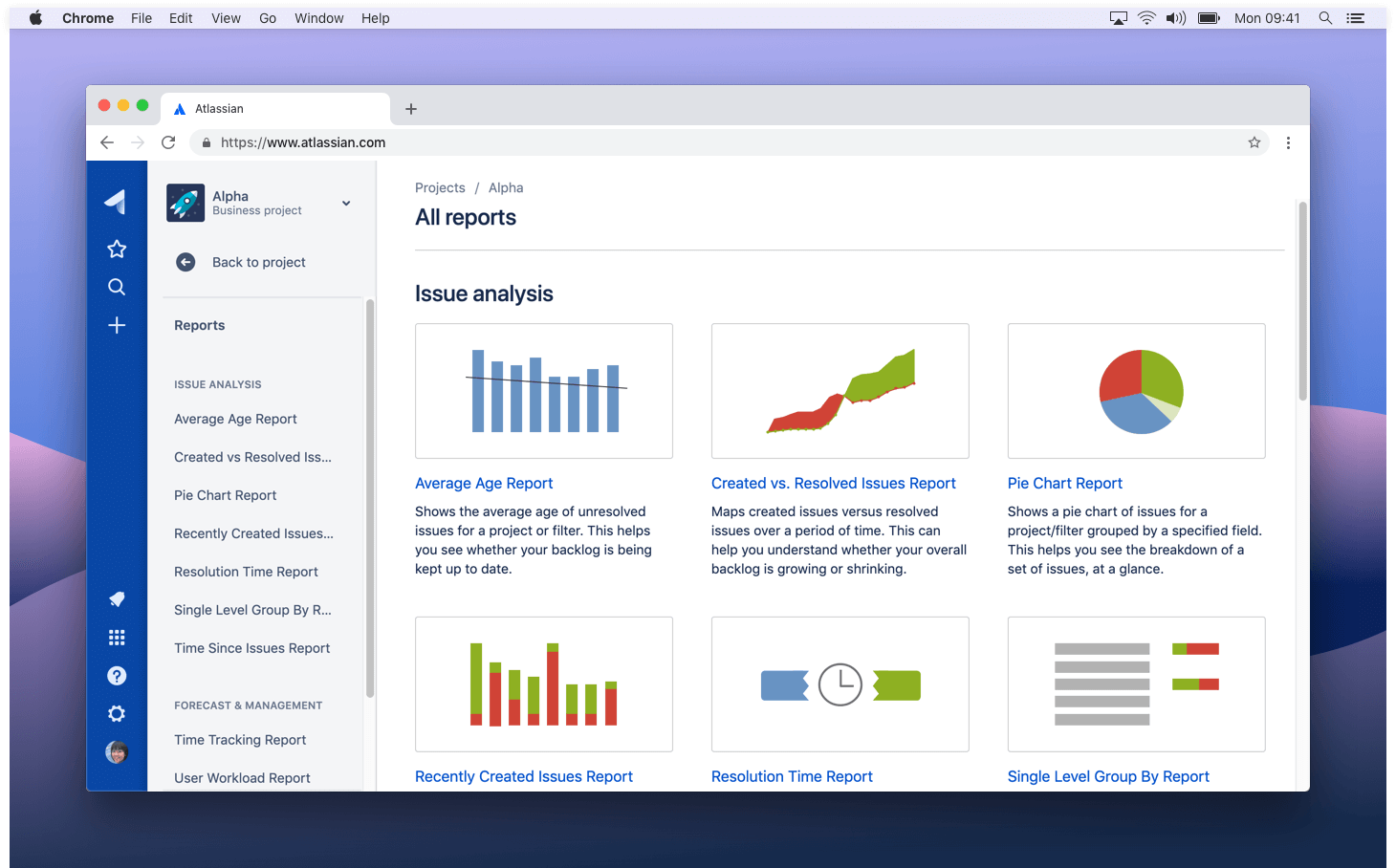 Reports and dashboards