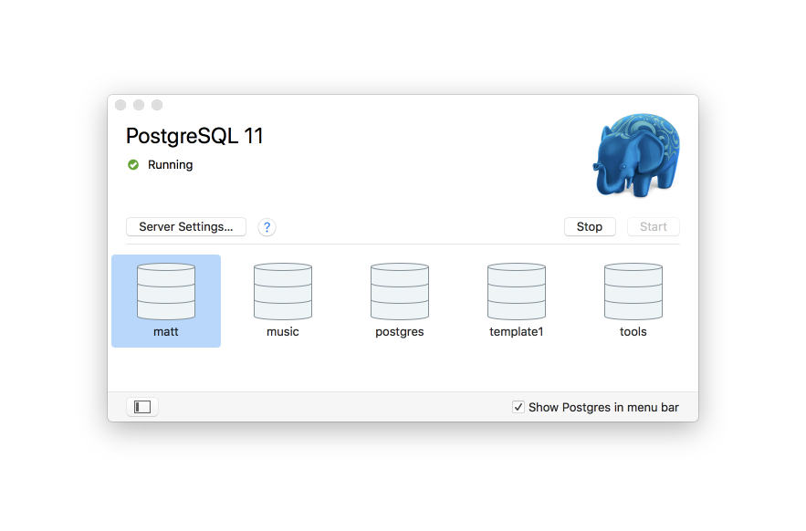 Image showing a started postgres server with databases in it