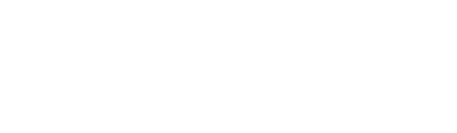 Persol logo