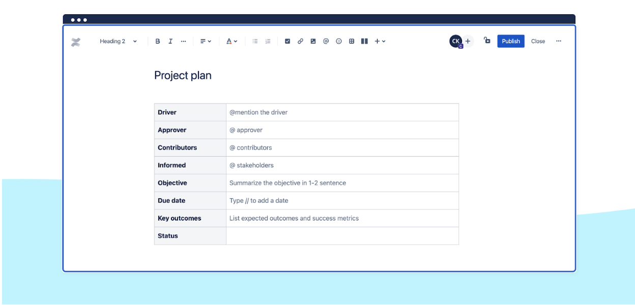 Project plan view