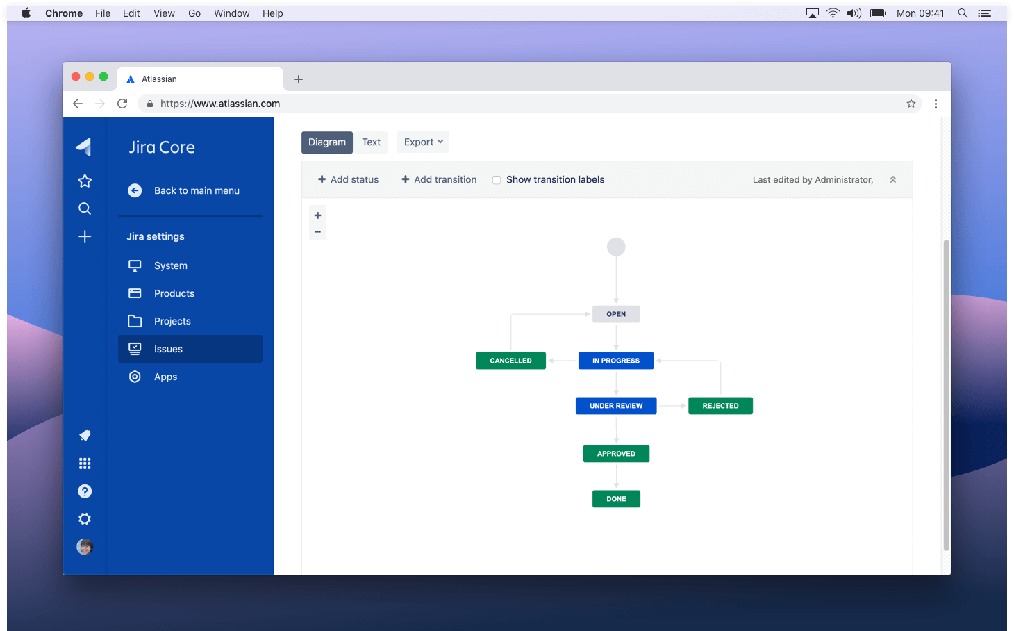 Customizable workflows