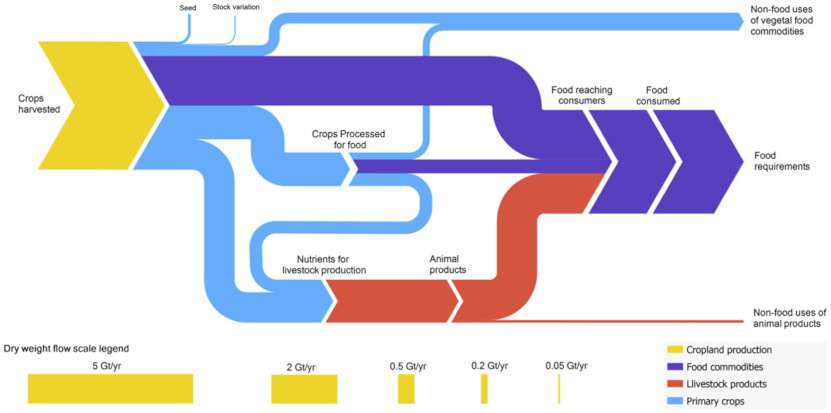 Sankey diagram of global harvested crop usage
